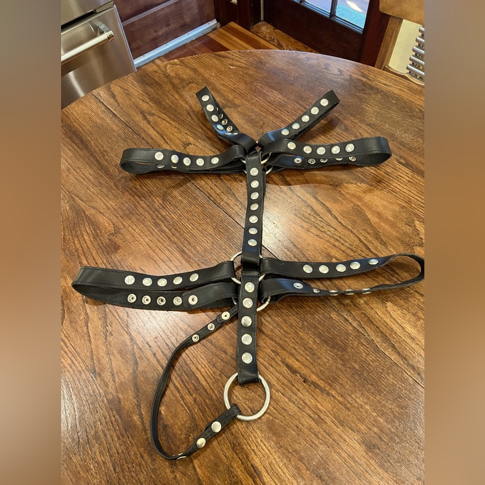 Used Full-torso Leather Harness with C-ring and strap. Men’s large (adjustable)